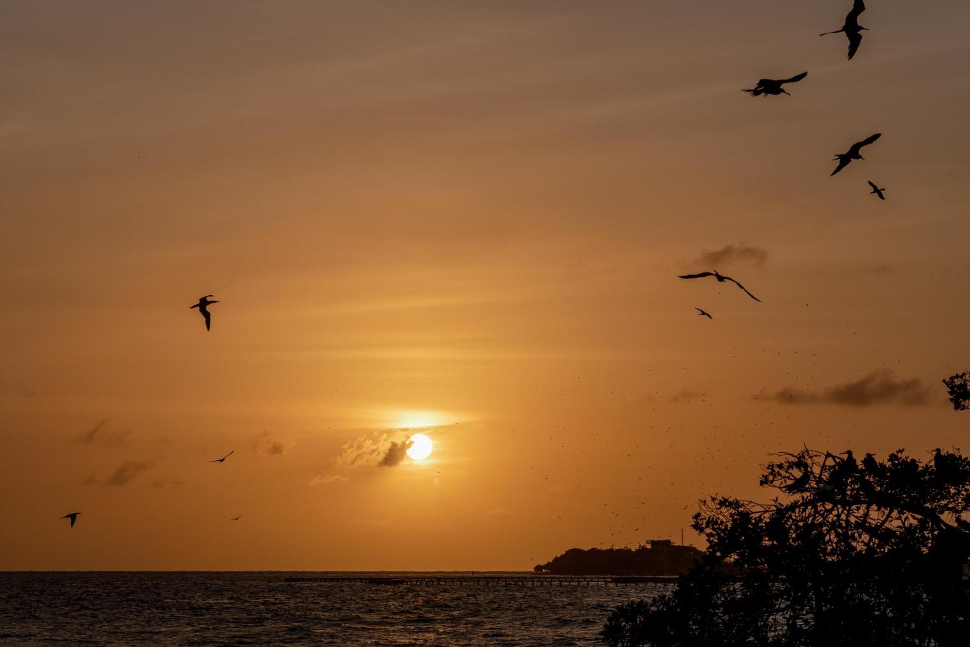 Pao Pao Hotel & Beach Club Isla Grande  Bagian luar foto